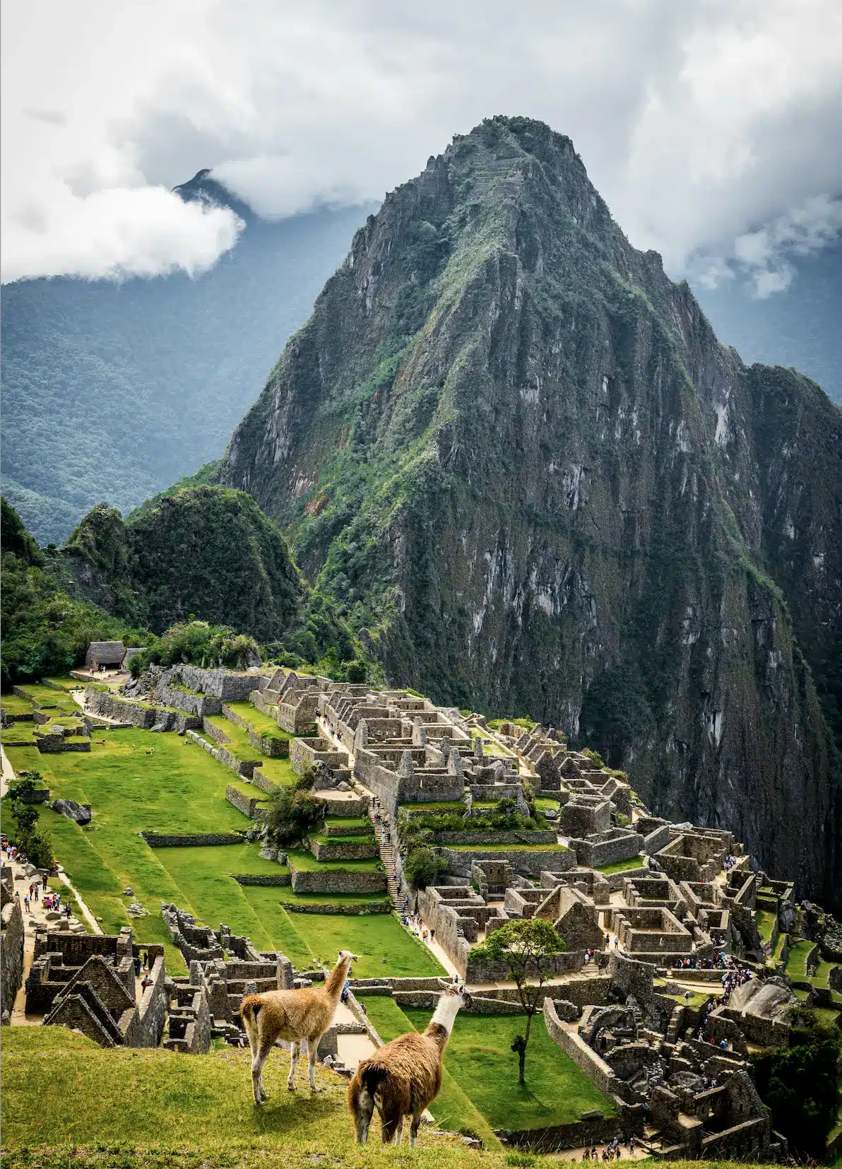 World famous Machu Picchu in Peru, the lost city of the incas.